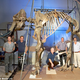 Image for article titled Complete Woolly Mammoth Skeleton Found In The North Sea
